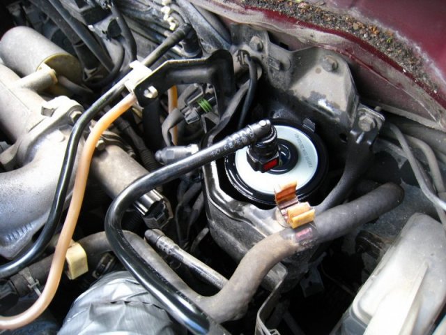 Wymiana filtra paliwa P12 1.9 DCI P12 Forum Nissan